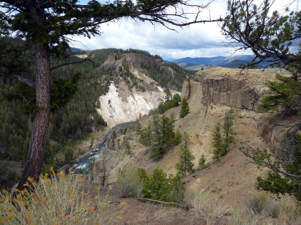 Yellowstone Tower Roosevelt (12).JPG